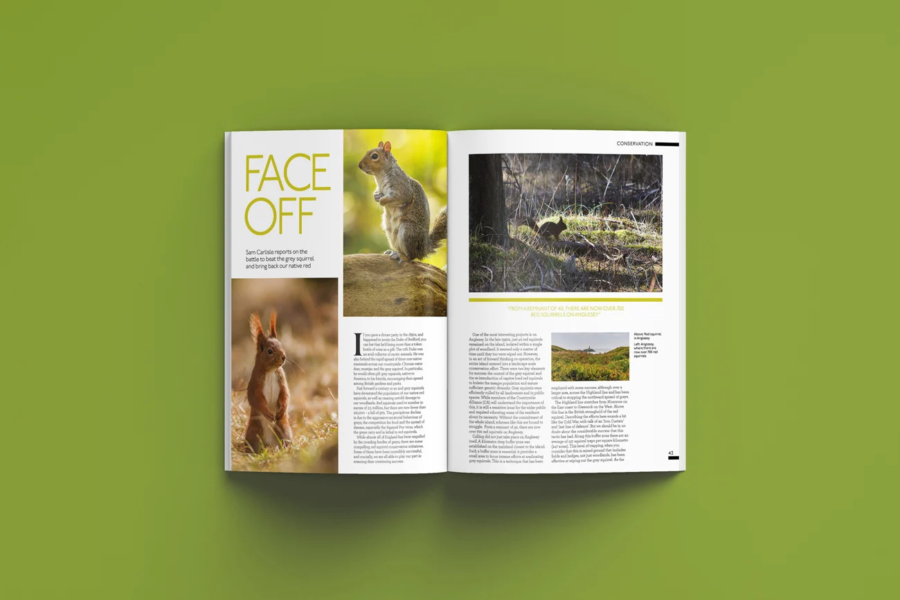 Centre spread of My Countryside magazine