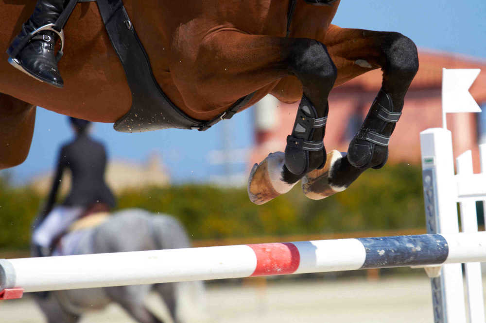 Horse jumping a fense