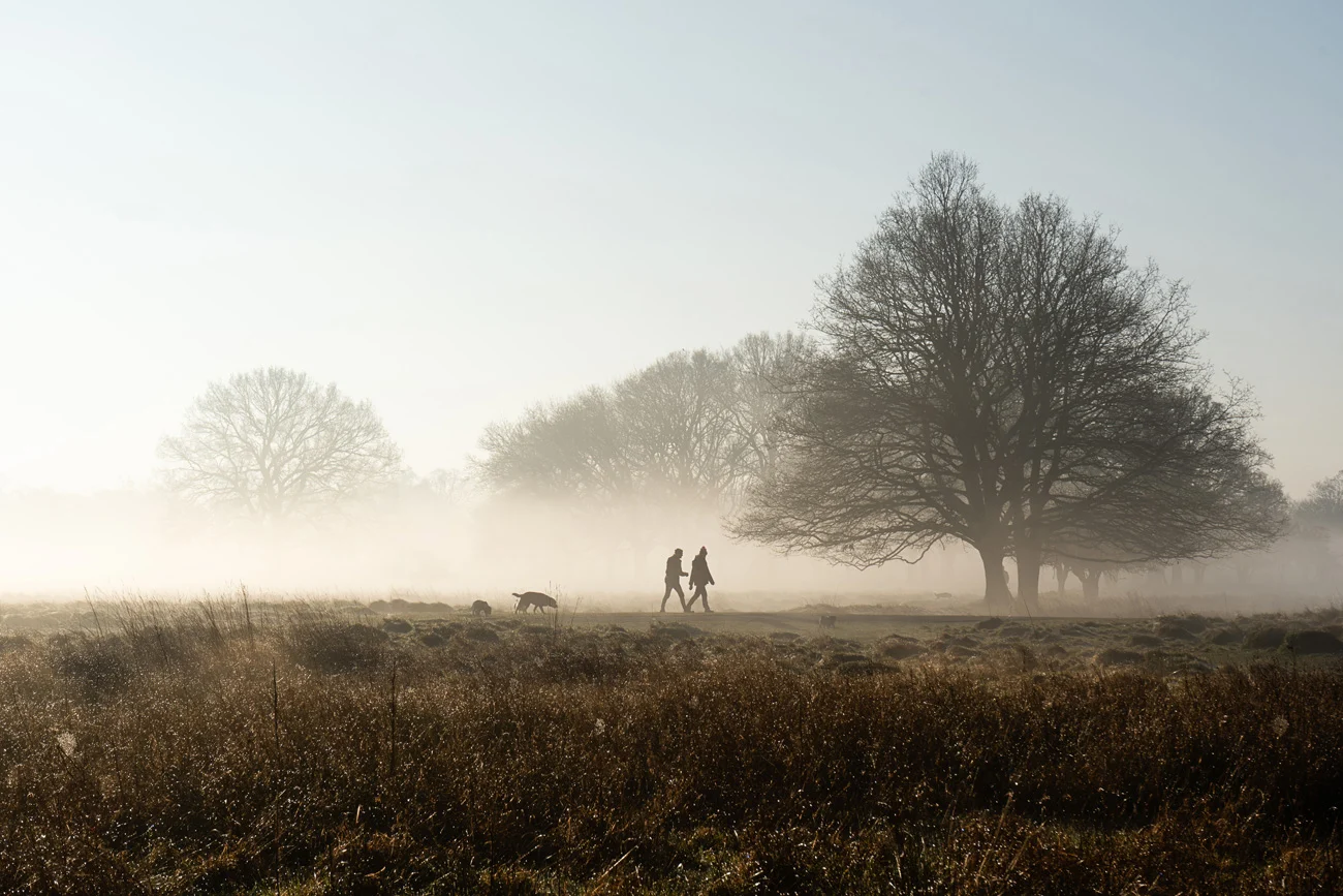 Two people walking dog over a field with mist