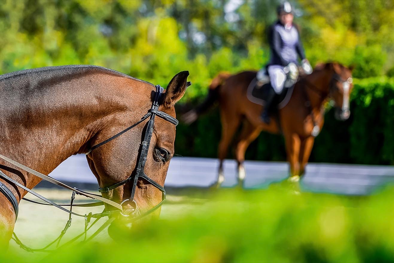 What brands need to know about equestrian marketing