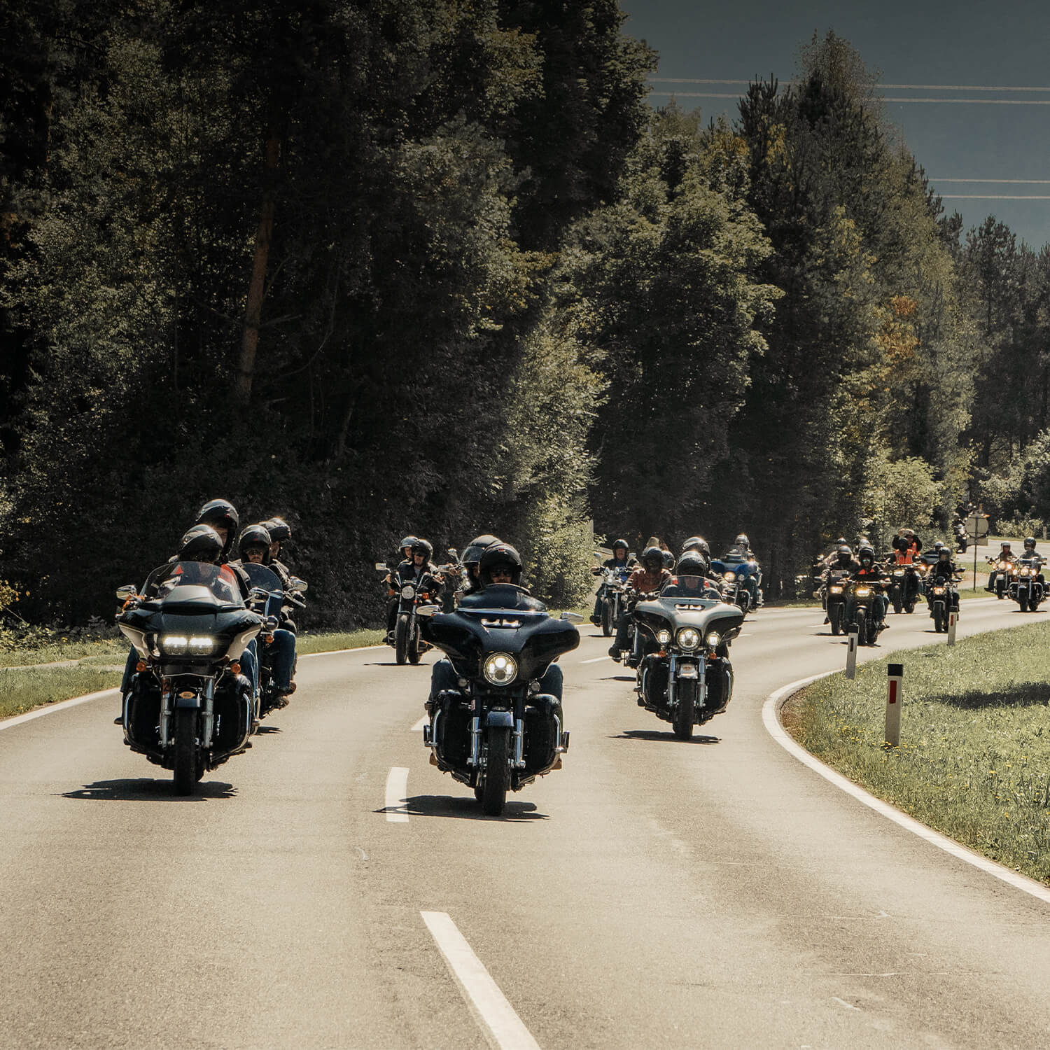 Harley-Davidson Owners Group (HOG)
